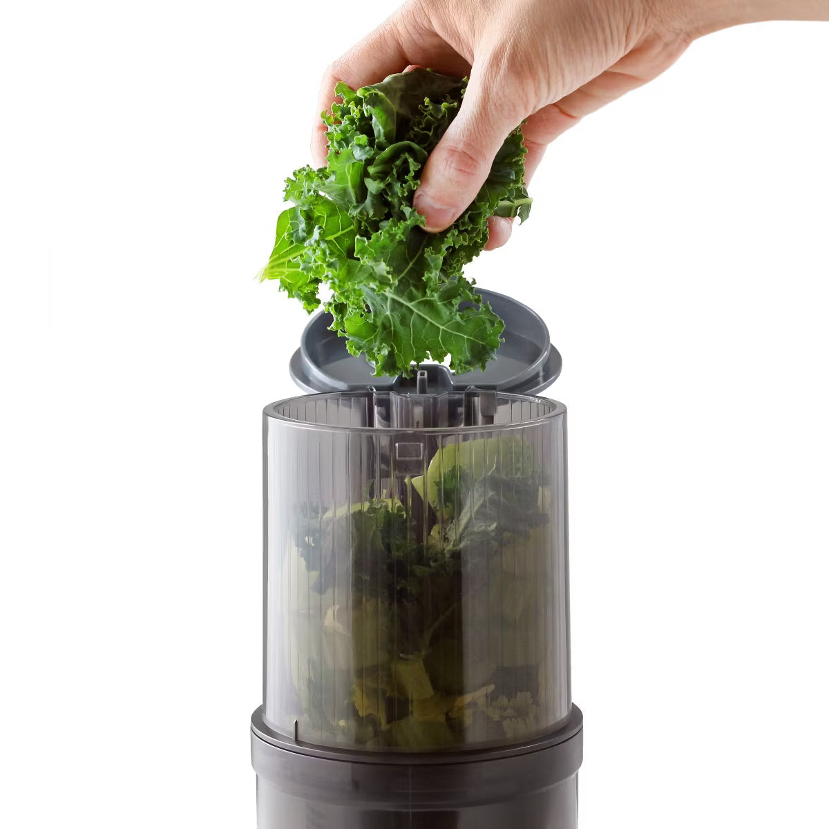 Juicer – Batch Compact Cold Press Juicer – Gray