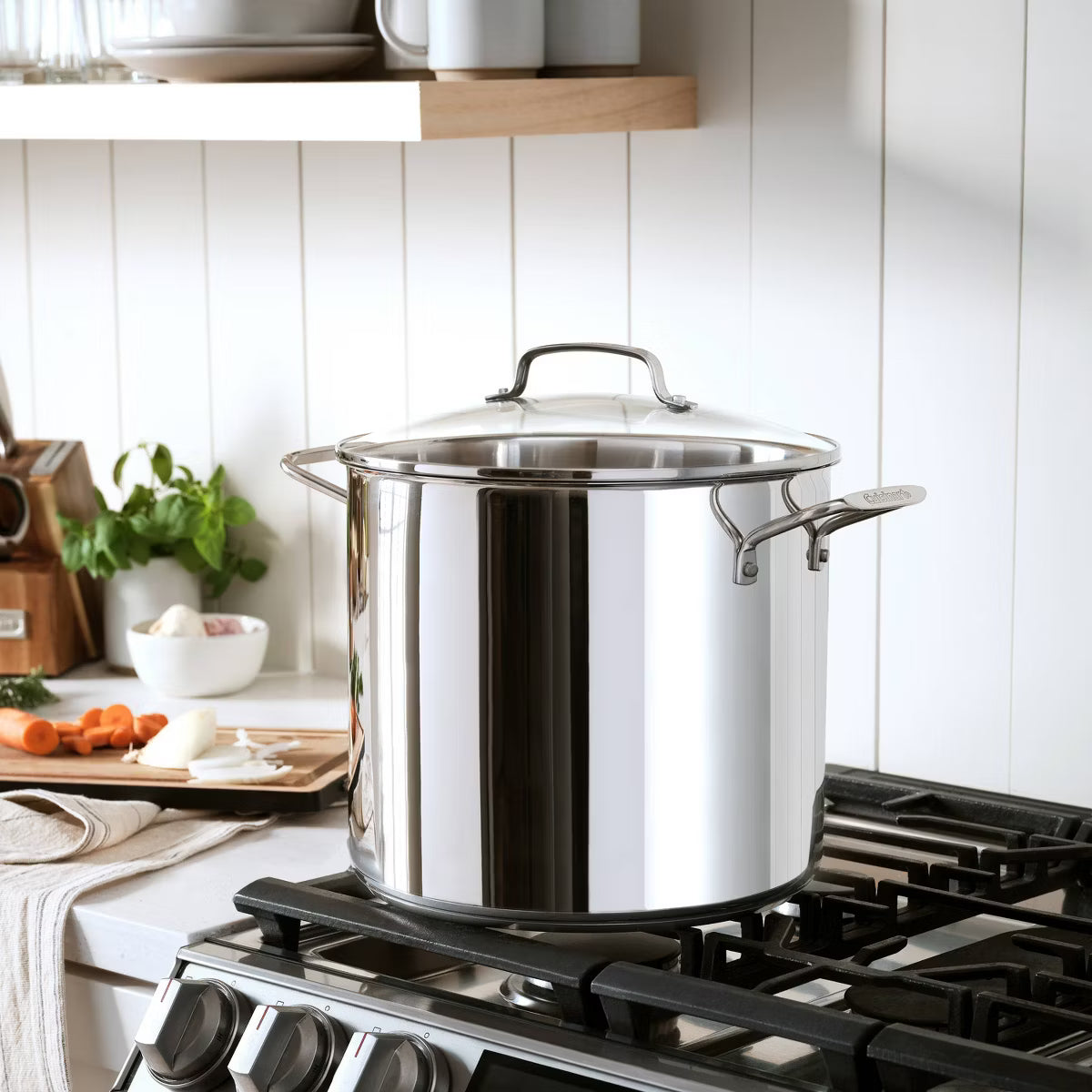 Stock Pot – 16qt Stock Pot with Cover – Silver