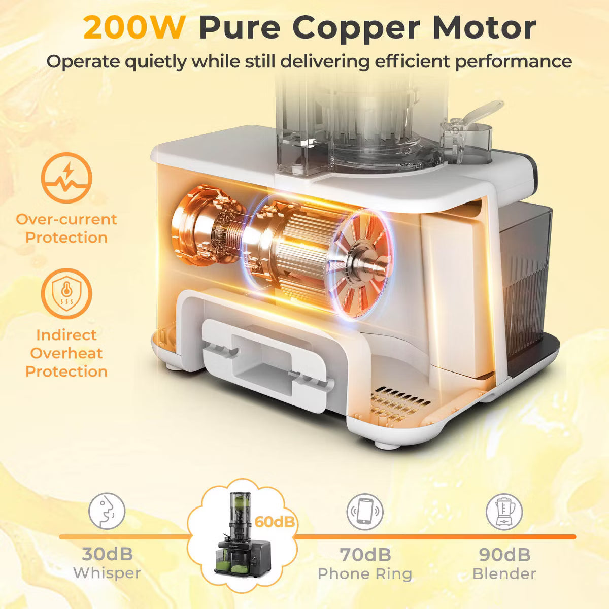 Juicer – Cold Press Juicer Machine Professional Slow Masticating Juicer – Gray
