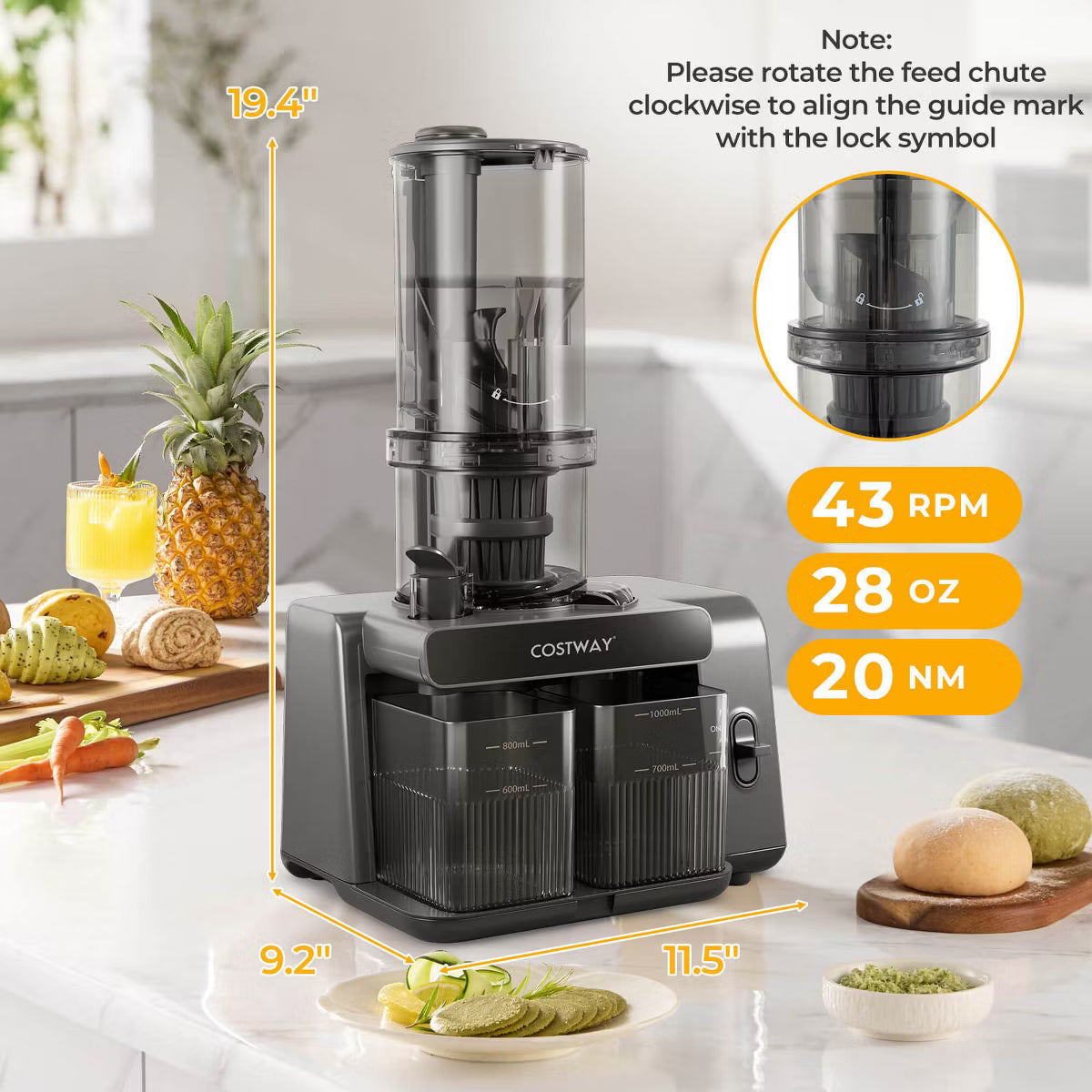 Juicer – Cold Press Juicer Machine Professional Slow Masticating Juicer – Gray