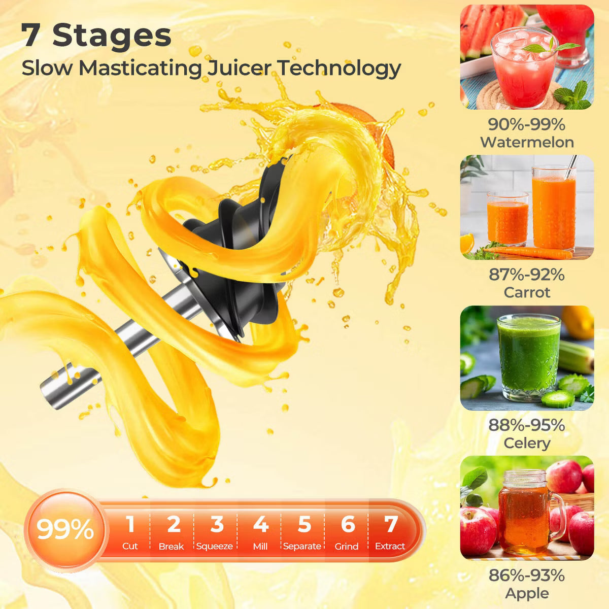 Juicer – Cold Press Juicer Machine Professional Slow Masticating Juicer – Gray