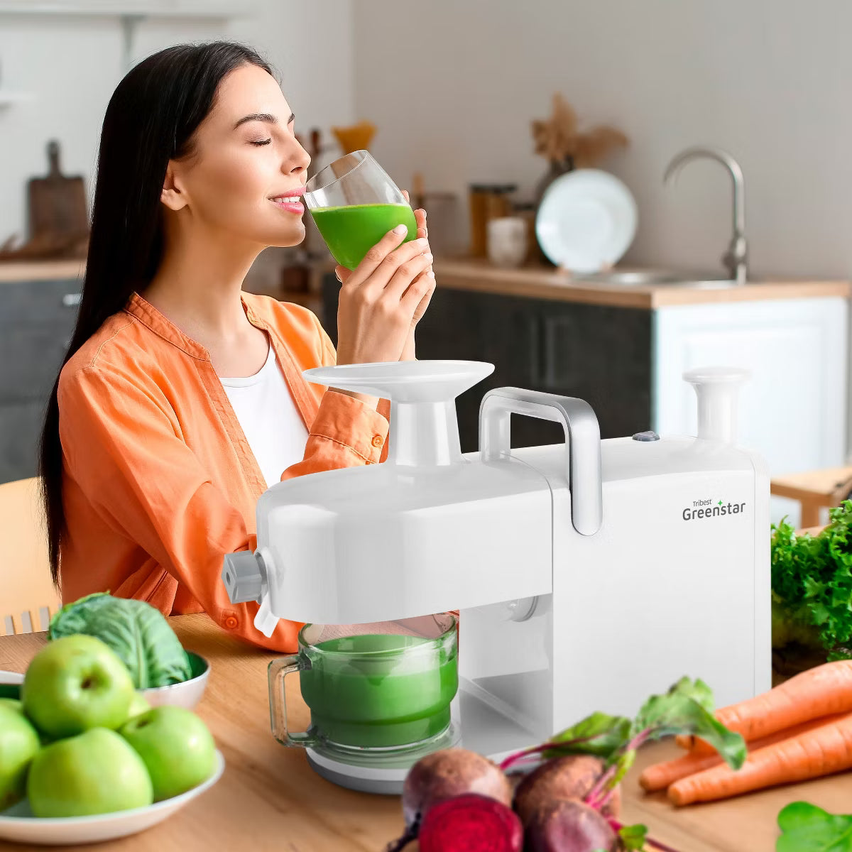Juicer – Greenstar 5 Cold Press Masticating Juicer – gray