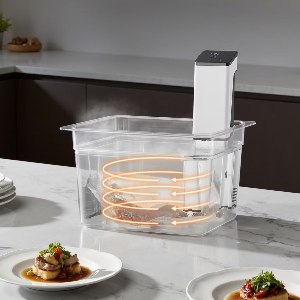 Sous Vide Cooker – Precision Cooker, 850W Sous-Vide Cooking Machine – Clear