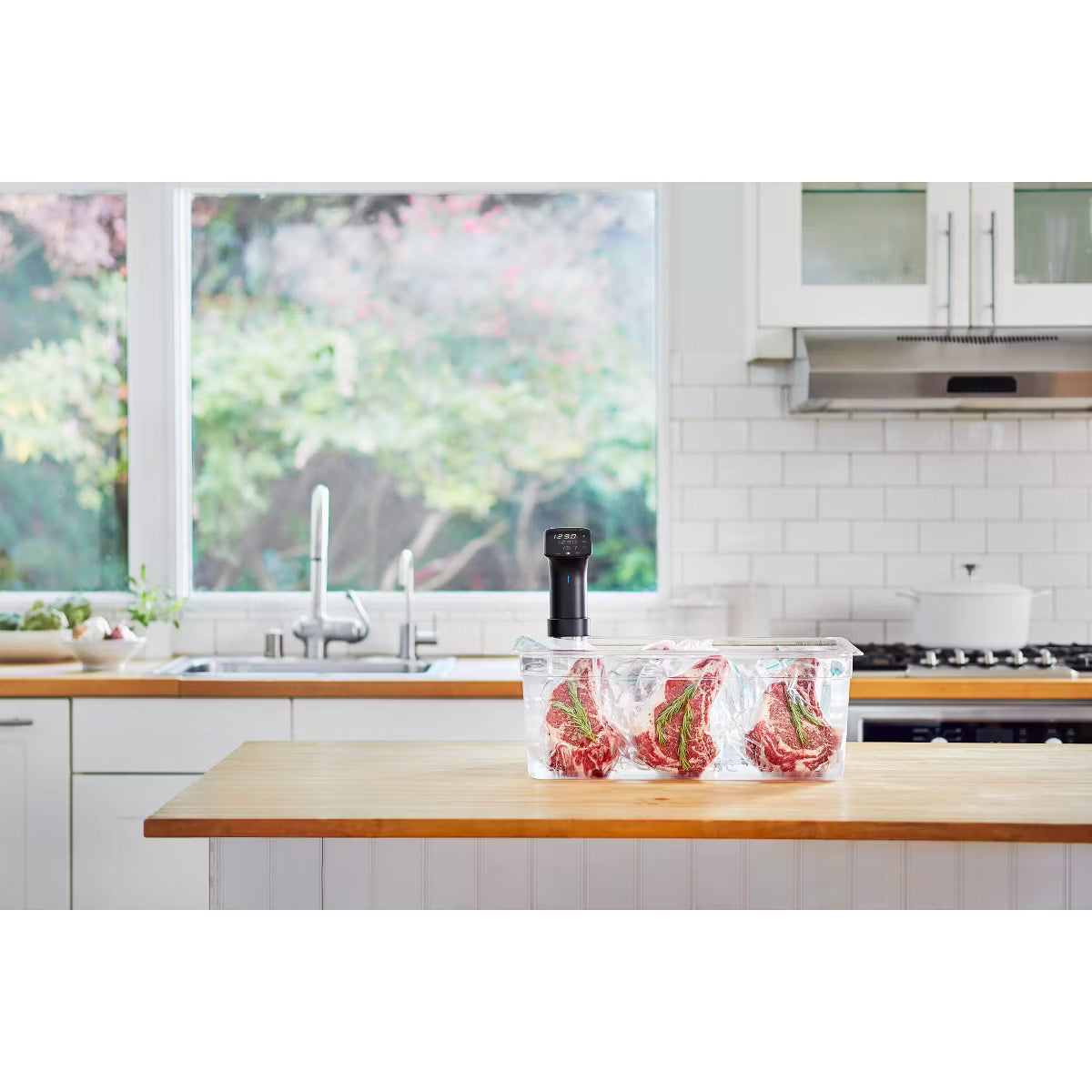 Sous Vide Cooker – Wifi Precision Cooker Pro: Immersion Circulator – Silver