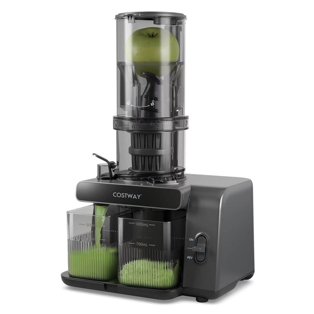 Juicer – Cold Press Juicer Machine Professional Slow Masticating Juicer – Gray