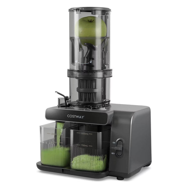 Juicer – Cold Press Juicer Machine Professional Slow Masticating Juicer – Gray